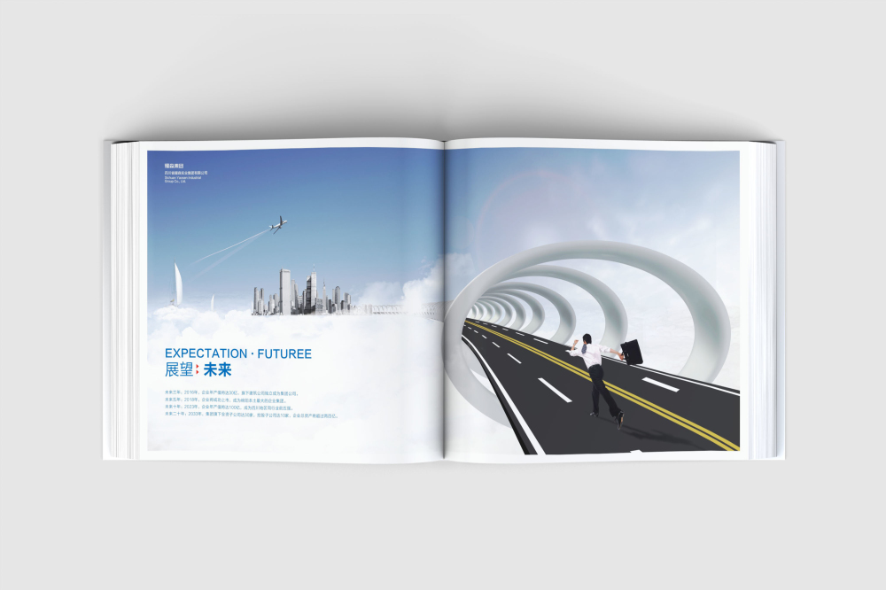 桃山区画册设计